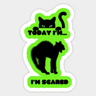 Cat feel scared Sticker